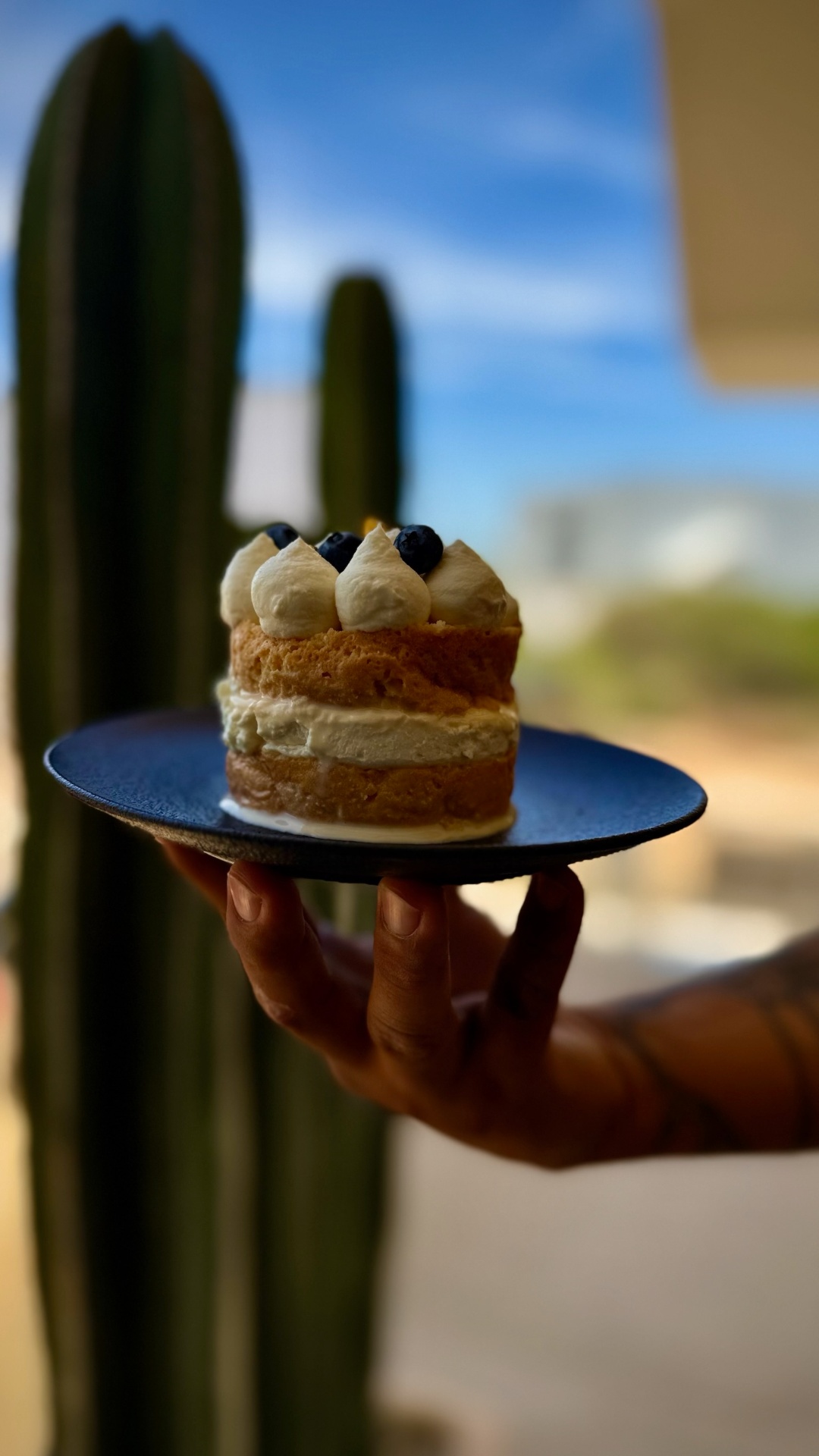 Pastelito del Día